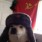 soviet_dog's avatar