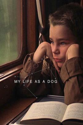 Mitt liv som hund (1985) -
