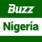 Buzz Nigeria - Top 10 Nigerian Hausa Movies's icon