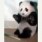 Pandabear's avatar